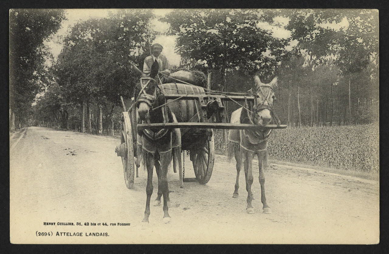 carte postale ATTELAGE LANDAIS 4P1973 Photo