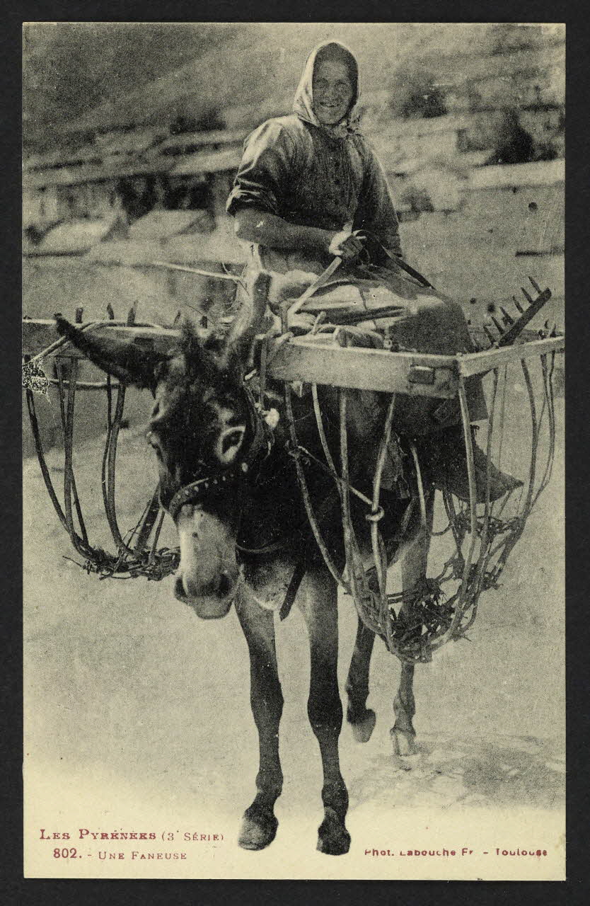 carte postale LES PYRENEES, UNE FANEUSE 4P1974 Photo