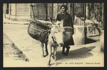 carte postale AU PAYS BASQUE, RETOUR DU MARCHE 4P1975  Photo