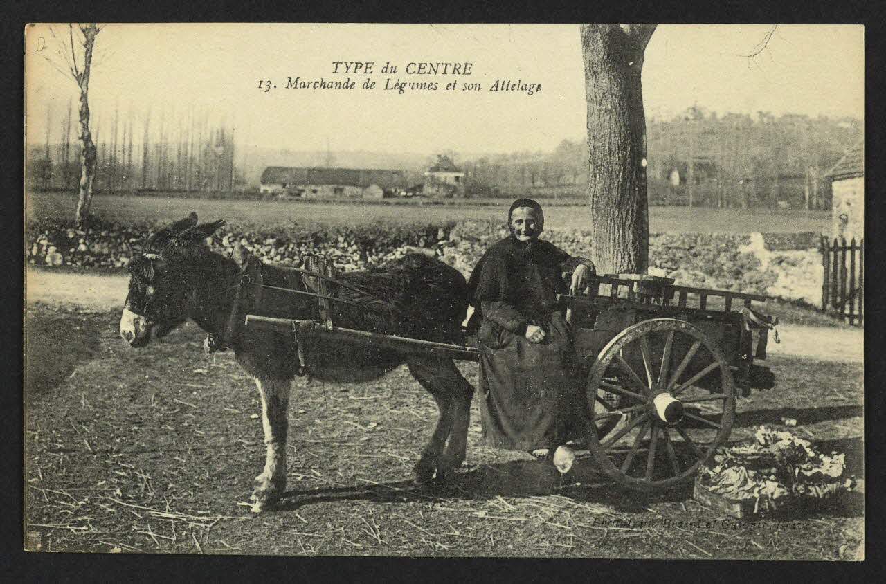 carte postale TYPE DU CENTRE, MARCHANDE DE LEGUMES ET SON ATTELAGE 4P1976 Photo