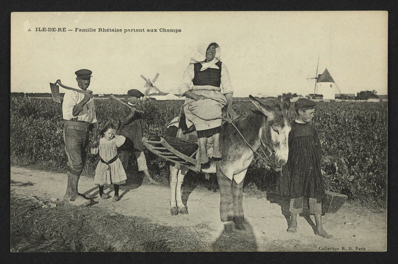 carte postale ILE-DE-RE, FAMILLE RHETAISE PARTANT AUX CHAMPS 4P1978 Photo