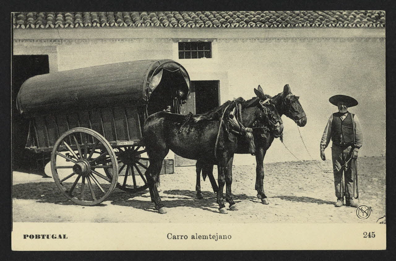 carte postale CARRO ALEMTEJANO 4P1996 Photo