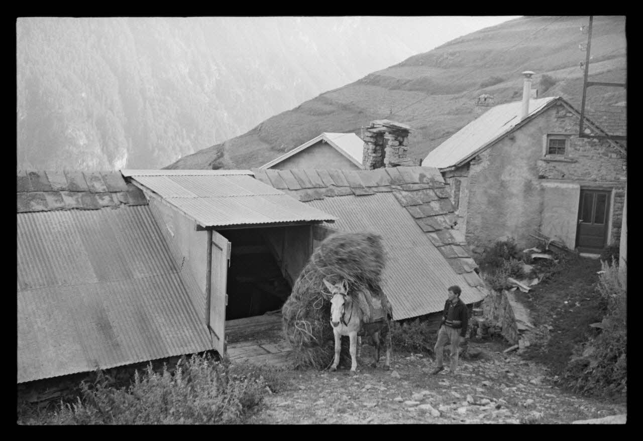 A. Jomelli ; B. Jomelli photographie Rampe d'accès pour les mulets lors du déchargement du foin Provence-Alpes-Côte d'Azur, France 1966/7/12 Ph.1966.119.45 Photo