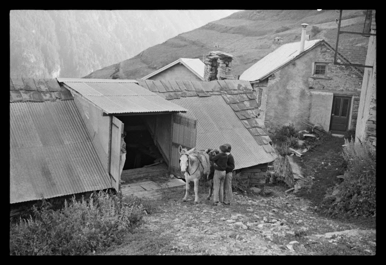 A. Jomelli ; B. Jomelli photographie Vérification du bât du mulet avant de repartir Provence-Alpes-Côte d'Azur, France 1966/7/12 Ph.1966.119.46 Photo