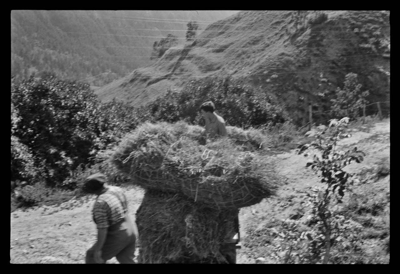 A. Jomelli ; B. Jomelli photographie Madame Manin et son fils faisant les foins Provence-Alpes-Côte d'Azur, France 1966/7/14 Ph.1966.119.52 Photo