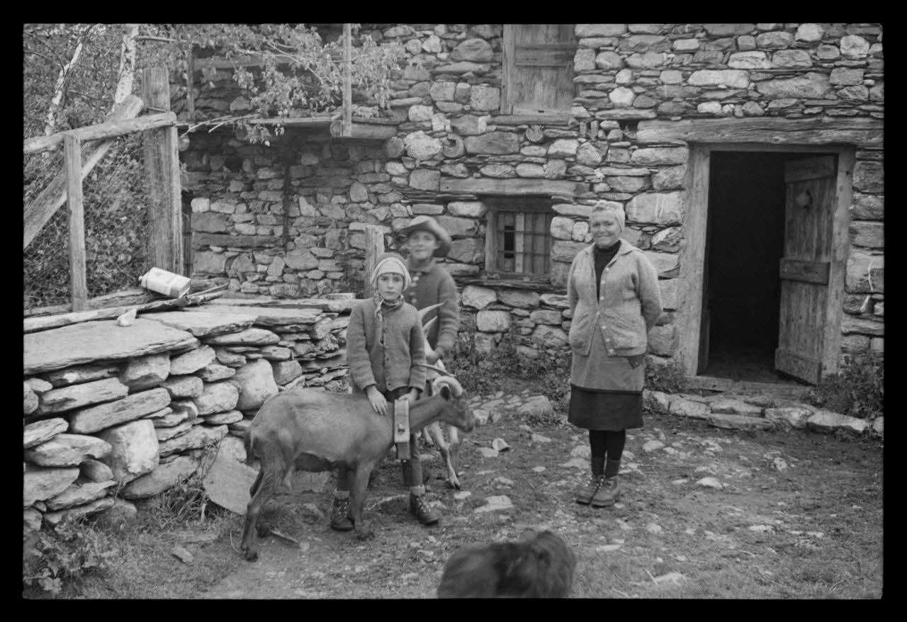 A. Jomelli ; B. Jomelli photographie Chez Mademoiselle Margot Imbert à la "baraque de Salomon". Mademoiselle Imbert, bergère, et ses deux neveux venus l'aider. L'ainé porte le chapeau de l'arrière grand-père qui était berger. Mademoiselle Imbert habite la baraque Salomon depuis le 10 juin. Elle garde 40 bovins appartenant à trois propriétaires, ainsi que deux chevaux. L'hiver, elle habite le hameau des Terrasses Provence-Alpes-Côte d'Azur, France 1966/7/21 Ph.1966.119.58 Photo