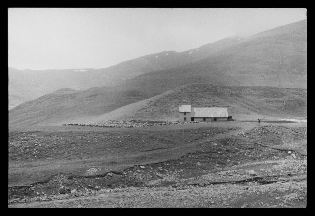 A. Jomelli ; B. Jomelli photographie Chez Monsieur Aimé Fege à la Buffe. Troupeau de moutons et bergerie vue de loin Provence-Alpes-Côte d'Azur, France 1966/7/21 Ph.1966.119.60 Photo