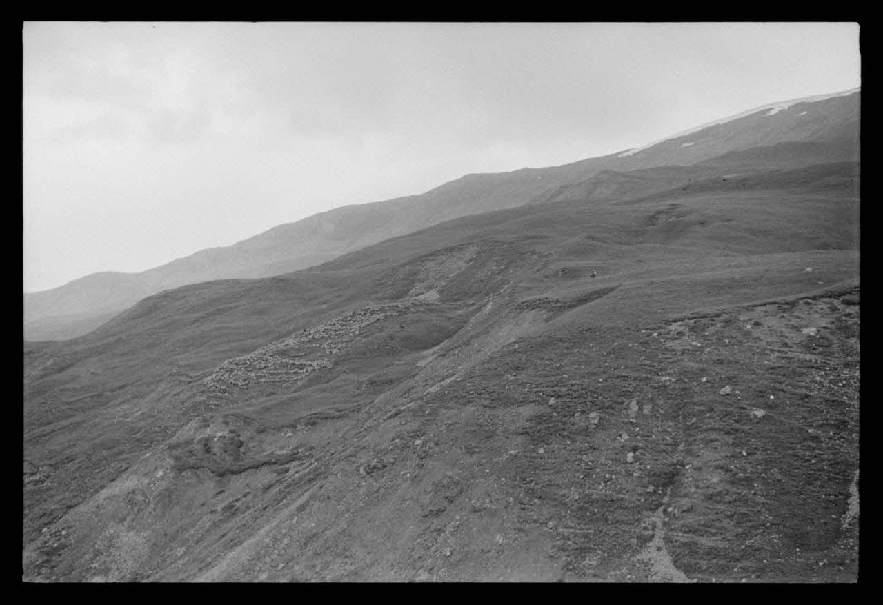 A. Jomelli ; B. Jomelli photographie Chez Monsieur Aimé Fege à la Buffe. Troupeau dans la montagne Provence-Alpes-Côte d'Azur, France 1966/7/21 Ph.1966.119.66 Photo