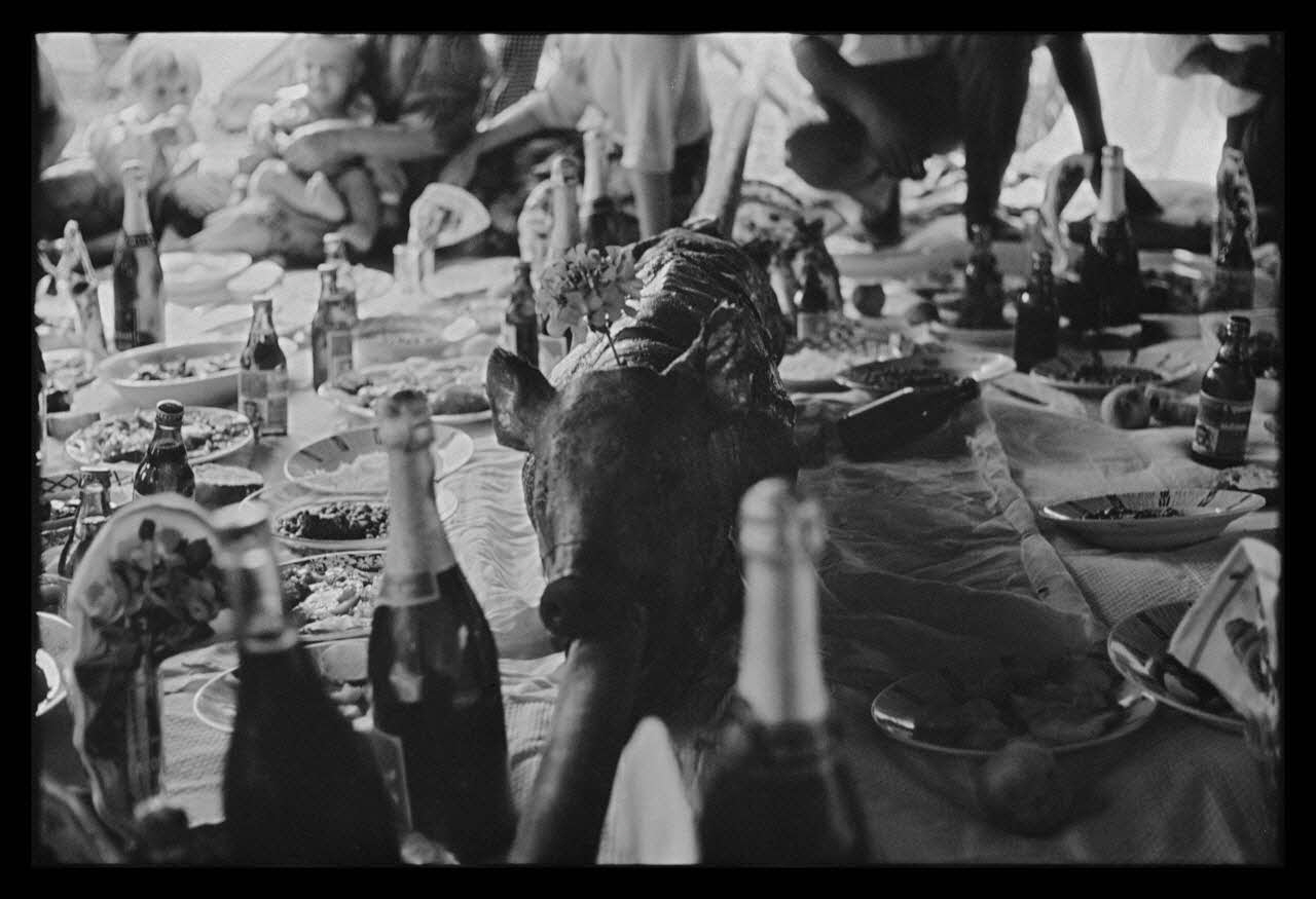 Philippe Lemaire De Marne photographie Roms, nomades "Kalderash". Fête traditionnelle "Prasmiko". Famille de "Papa" Gusman et Théodore Gusman, son frère dans un terrain loué à la sortie du village. Tête de cochon sur la table de Papa Midi-Pyrénées, France 1965/8/15 Ph.1966.68.78 Photo