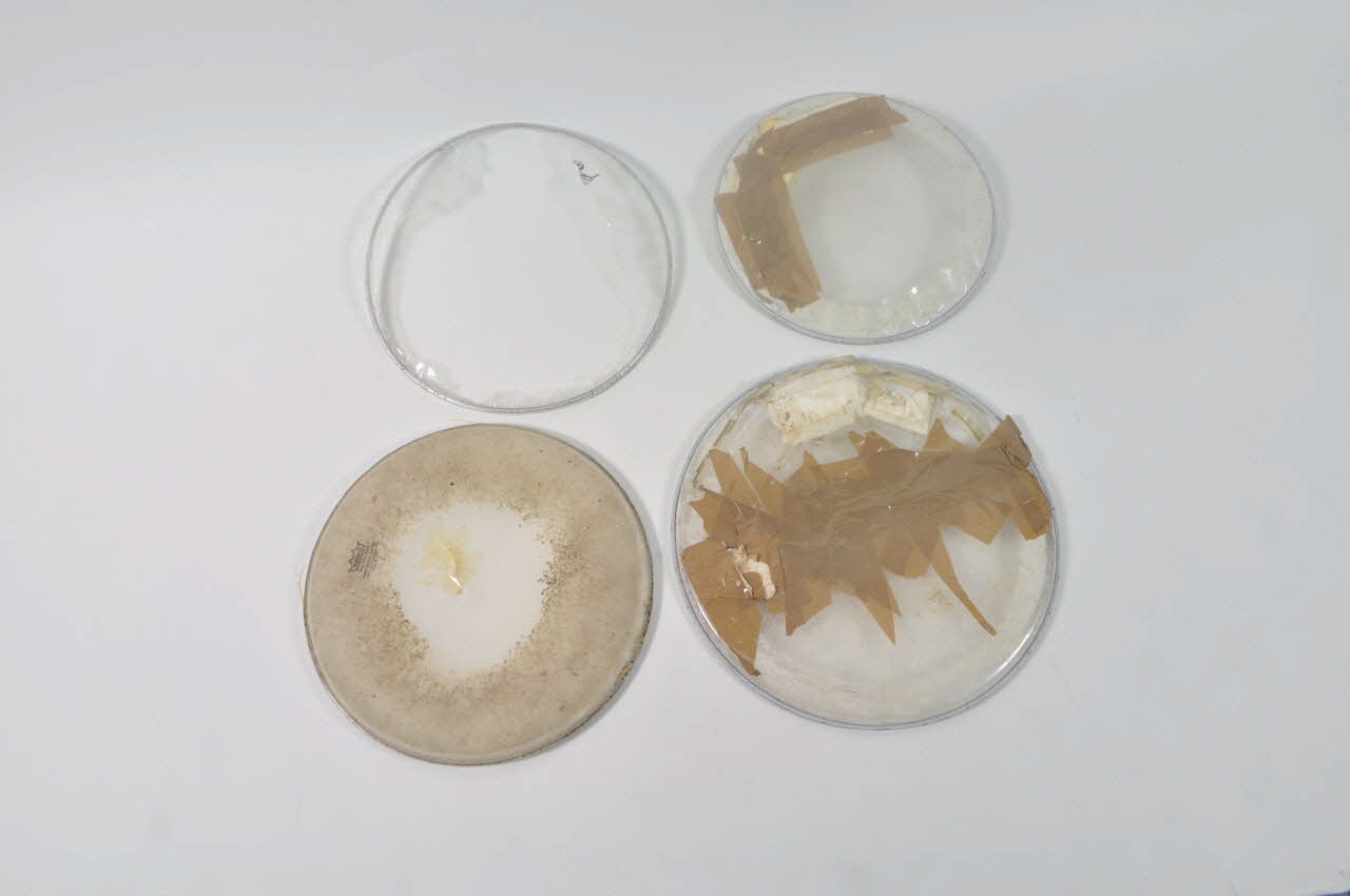 élément constitutif d'instrument de musique 2000.6.1.20.1-4 Photo Mucem