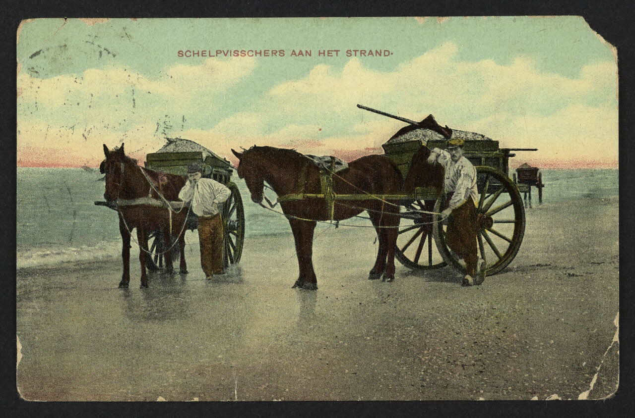 carte postale SCHELPVISSCHERS  AAN HET STRAND 4P2000 Photo