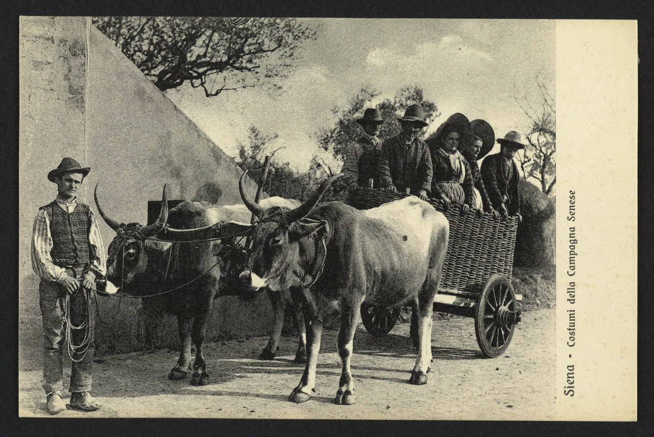 carte postale SIENA, COSTUMI DELLA CAMPAGNA SENESE 4P2012 Photo