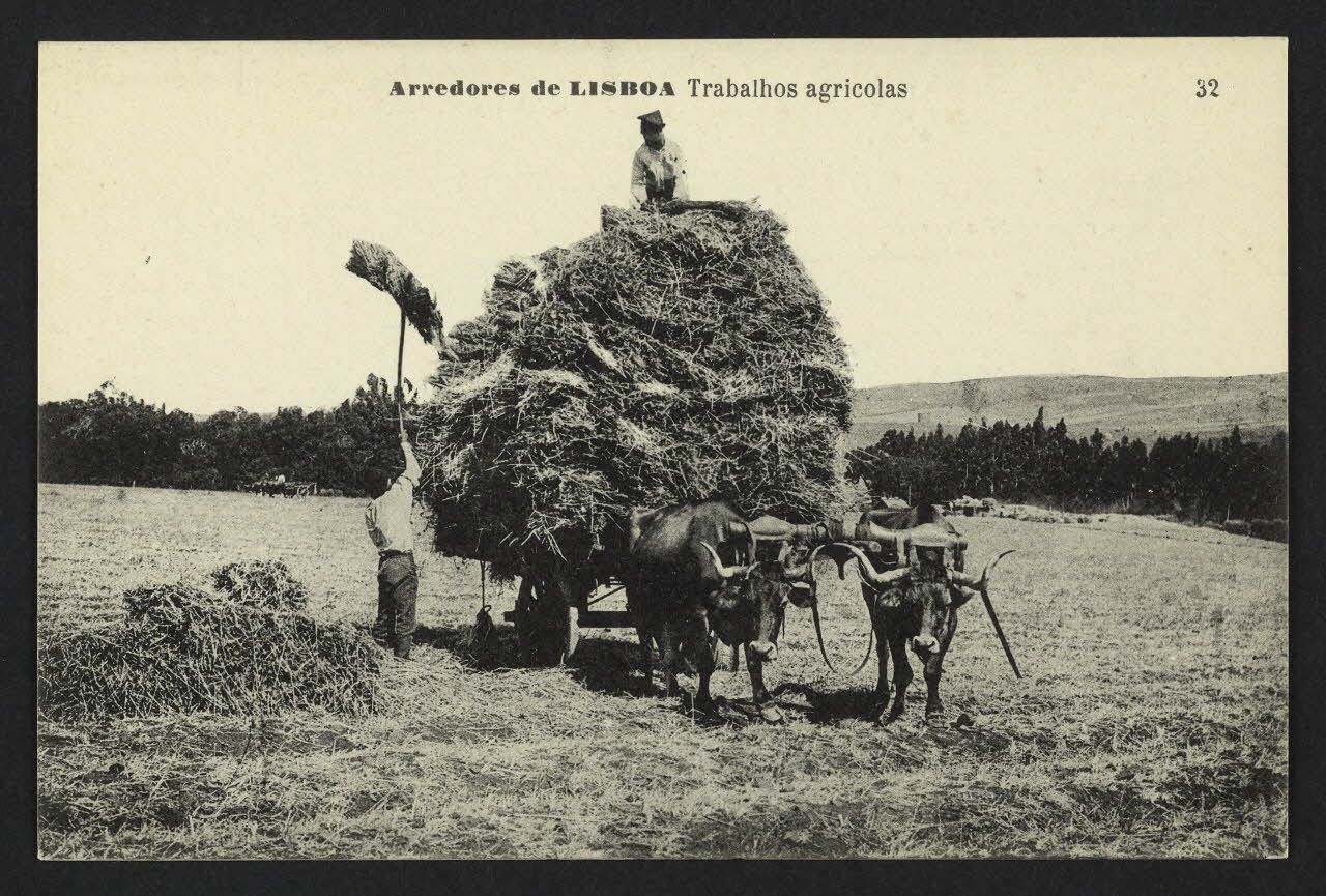 carte postale ARREDORES DE LISBOA, TRABALHOS AGRICOLAS 4P2014 Photo