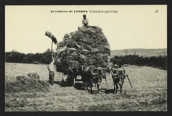 carte postale ARREDORES DE LISBOA, TRABALHOS AGRICOLAS 4P2014  Photo