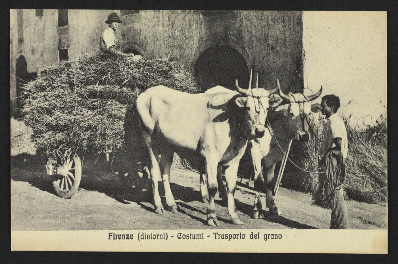 carte postale FIRENZ, COSTUMI, TRASPORTO DEL GRAND 4P2015 Photo