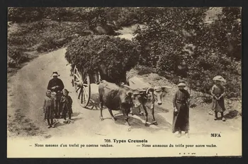 carte postale TYPES CREUSOIS 4P2019 Photo