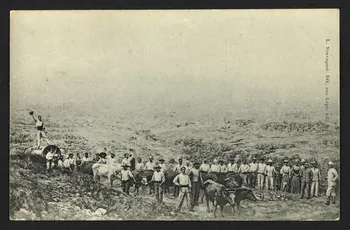 carte postale 4P2021  Photo