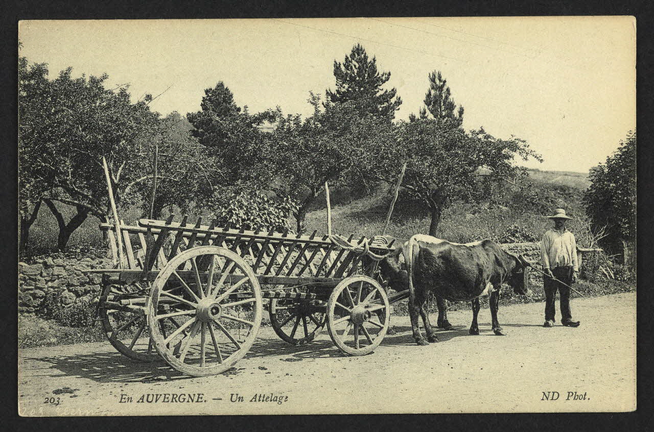 carte postale EN AUVERGNE, UN ATTELAGE 4P2022 Photo