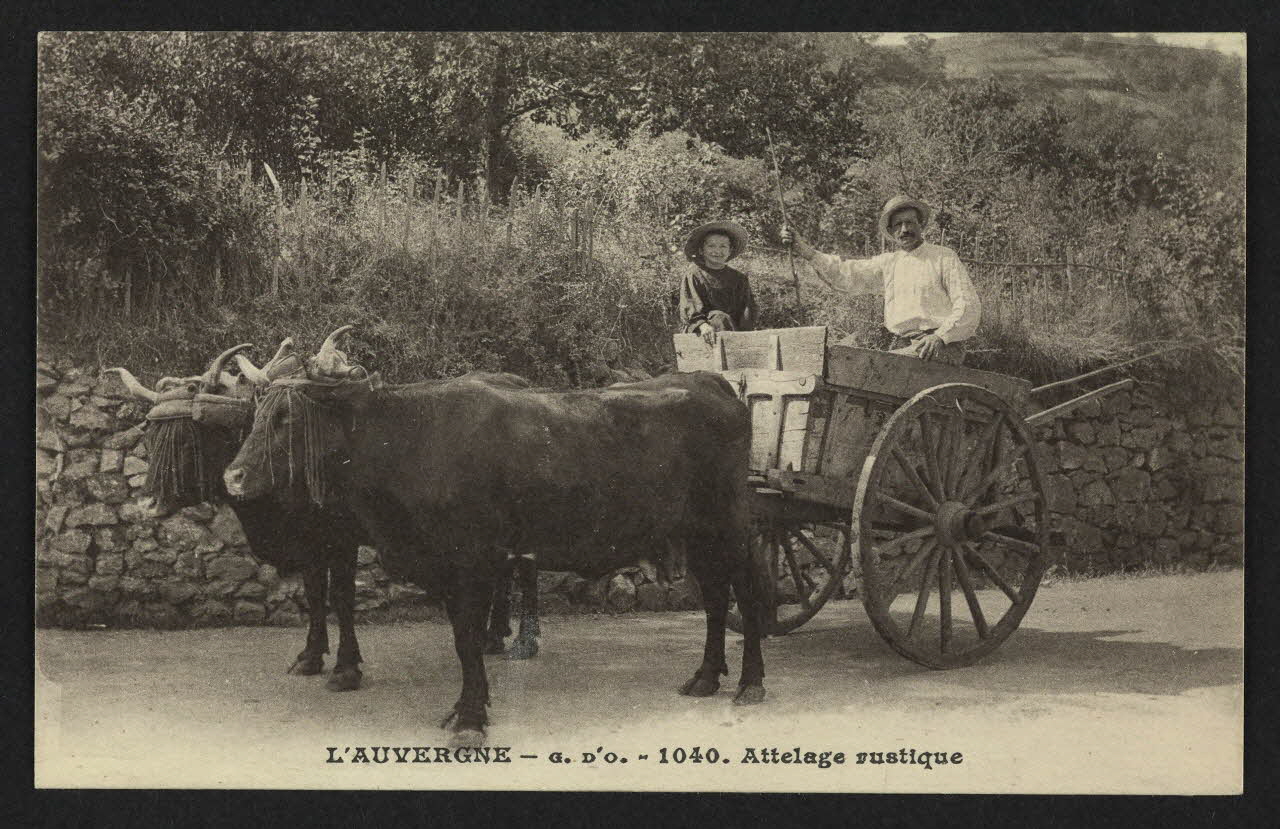 carte postale L'AUVERGNE, ATTELAGE RUSTIQUE 4P2023 Photo