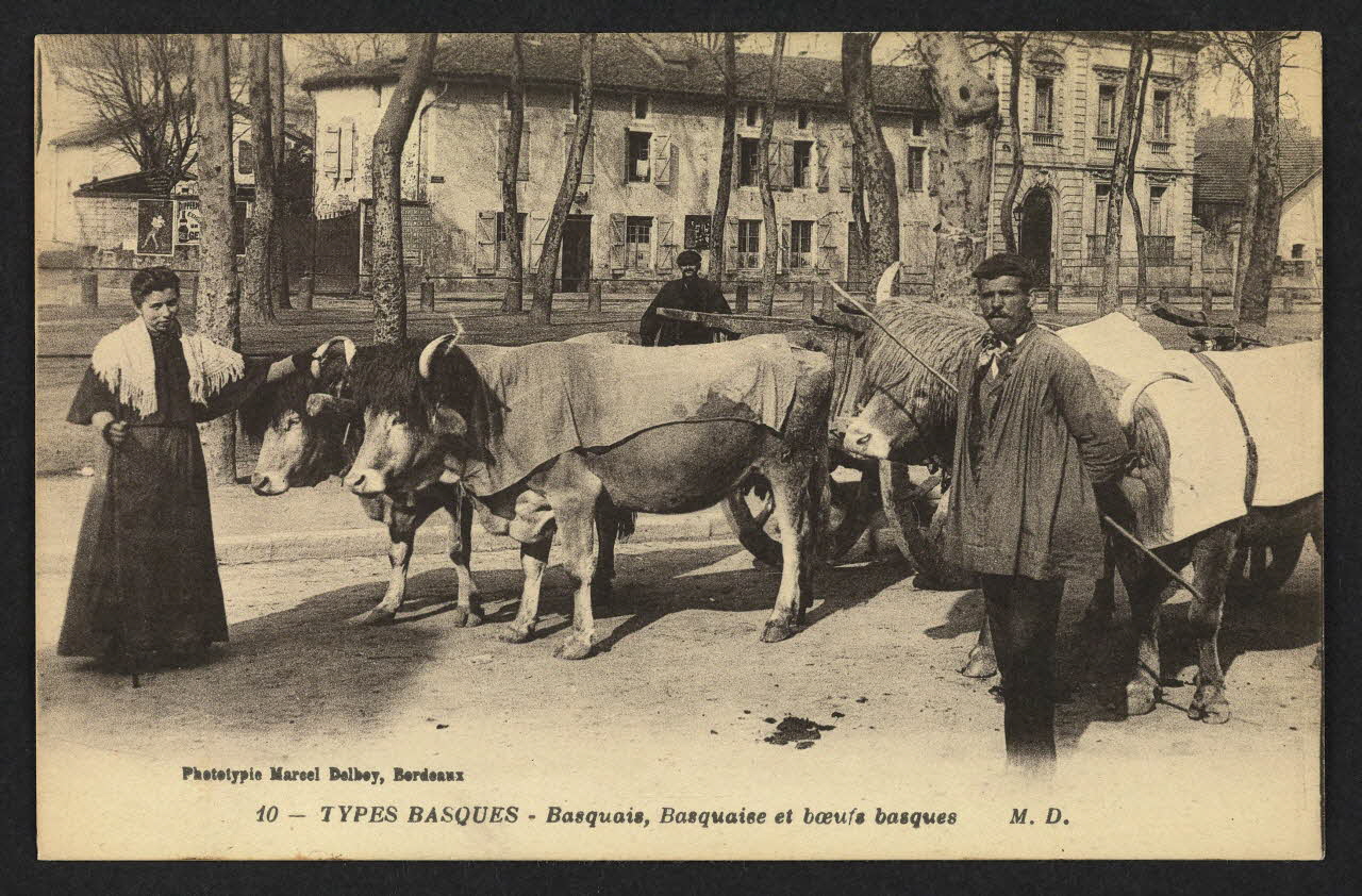 carte postale TYPES BASQUES, BASQUAIS, BASQUAISE ET BOEUFS BASQUES 4P2025 Photo