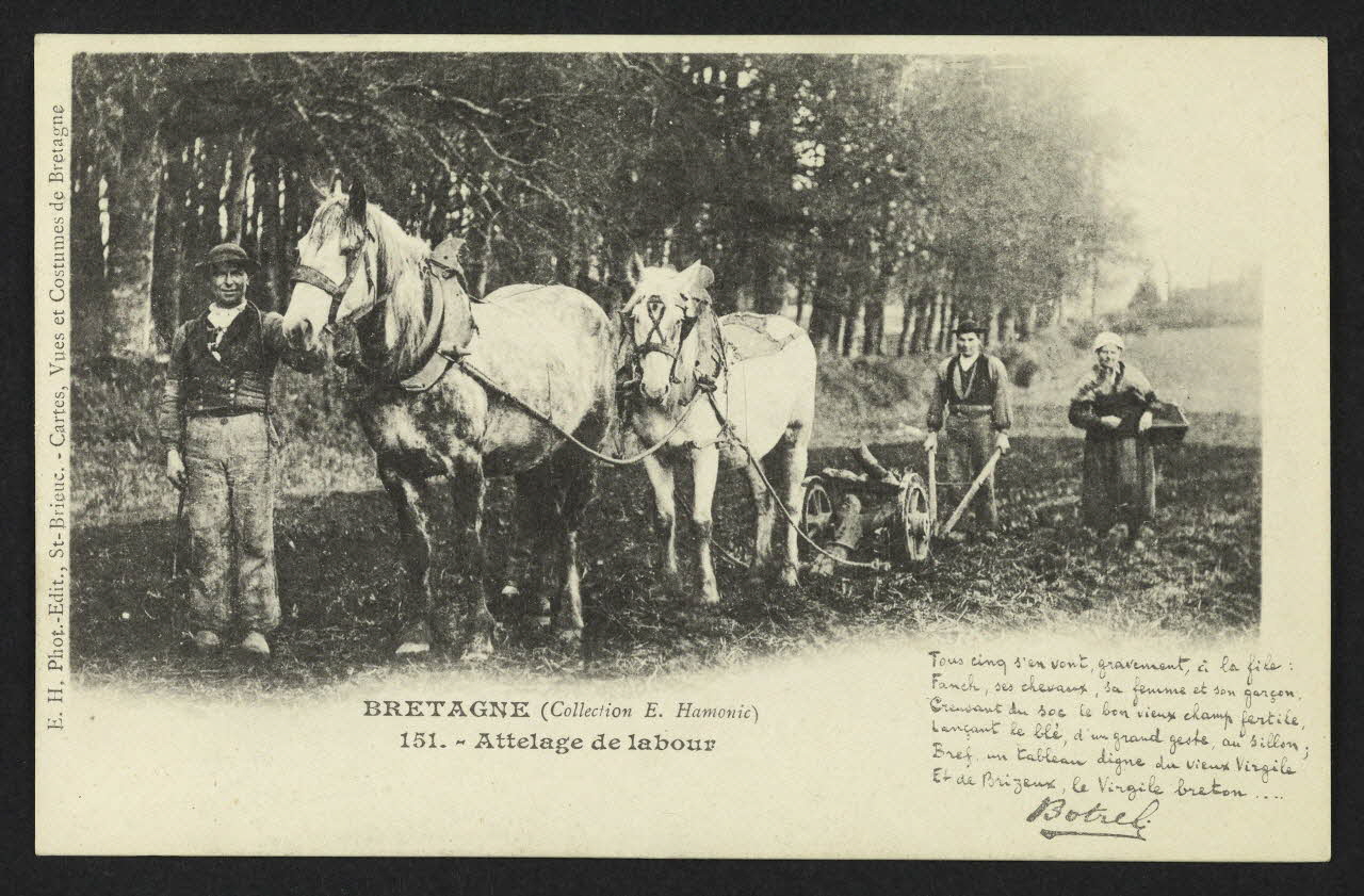 carte postale BRETAGNE ATTELAGE DE LABOUR, RECTO EN BRETON, POESIE 4P2027 Photo