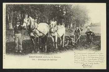 carte postale BRETAGNE ATTELAGE DE LABOUR, RECTO EN BRETON, POESIE 4P2027  Photo