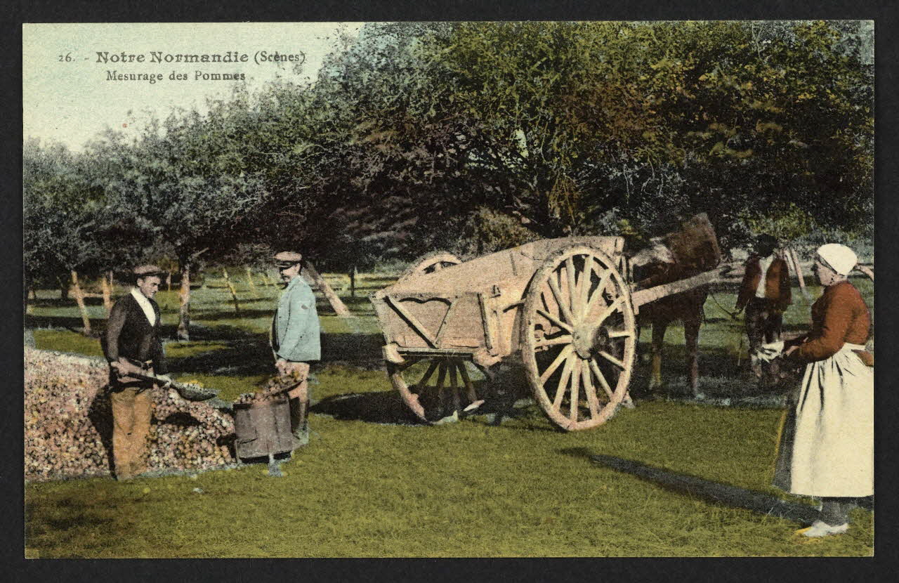 carte postale NOTRE NORMANDIE, MESURAGE DE POMMES 4P2029 Photo