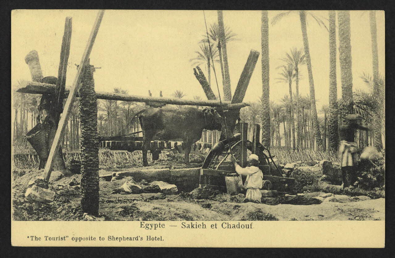 carte postale EGYPTE, SAKIEH ET CHADOUF 4P2032 Photo