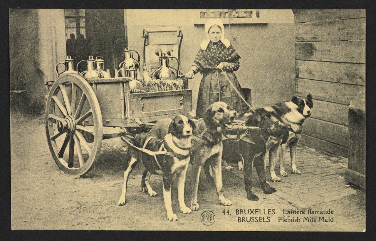 carte postale BRUXELLES, LAITIERE FLAMANDE 4P2033 Photo