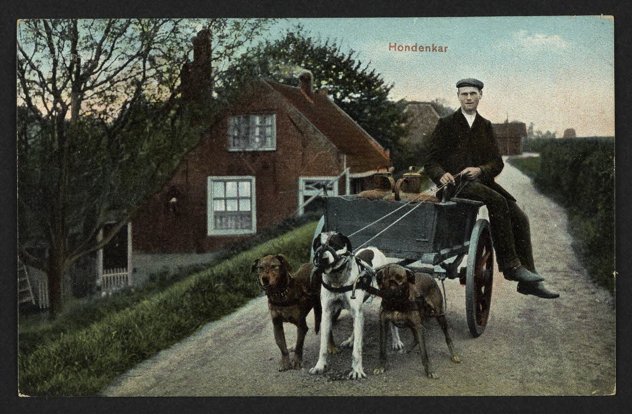 carte postale HONDENKAR 4P2036 Photo