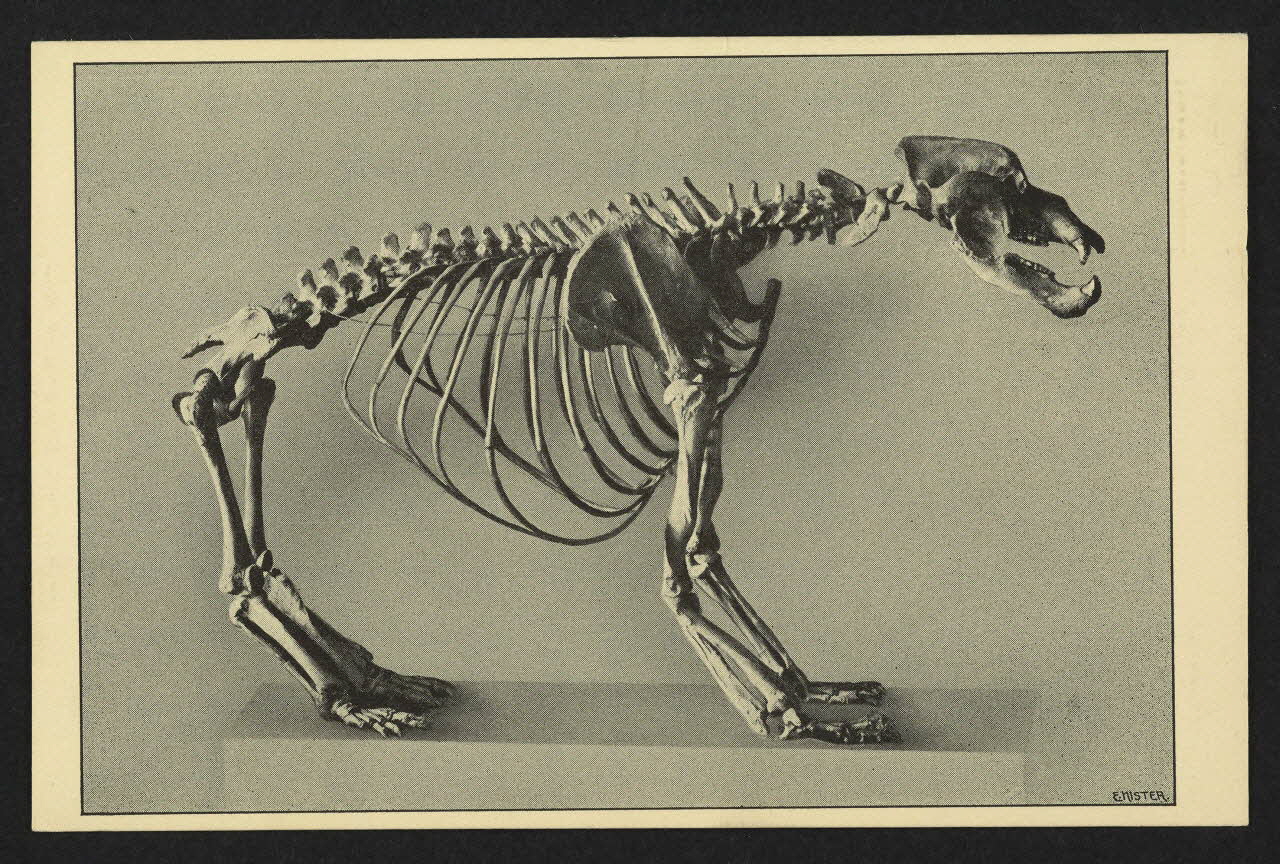 carte postale HOHLENBAR, FRANKISCHE SCHWEIZ 4P2044 Photo