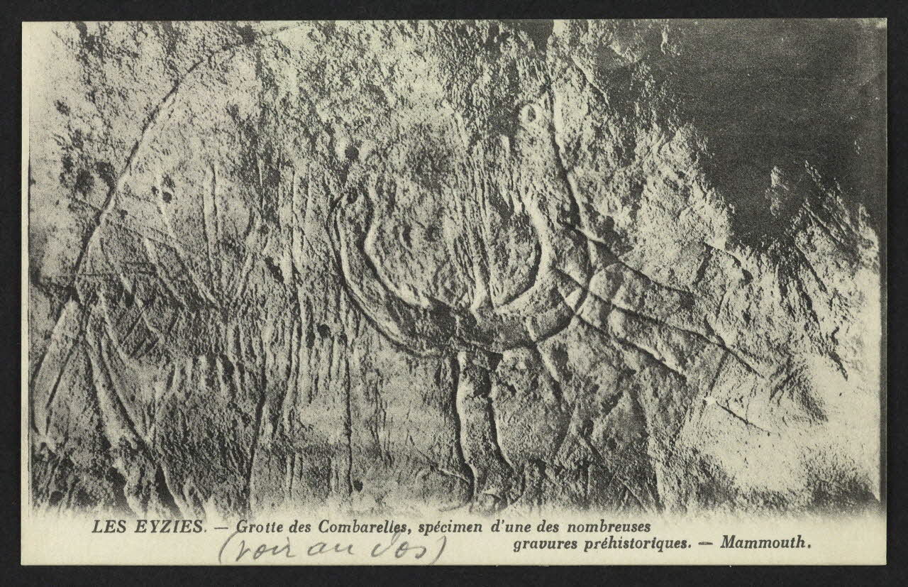 carte postale LES EUZIES, GROTTE DES COMBARELLES, GRAVURE, MAMMOUTH 4P2176 Photo