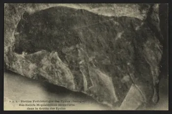 carte postale STATION PREHISTORIQUE DES EVZIES, BAS-RELIEF 4P2177 Photo