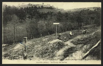 carte postale GLOZEL (ALLIER), LE CHAMP DES FOUILLES 4P2187  Photo
