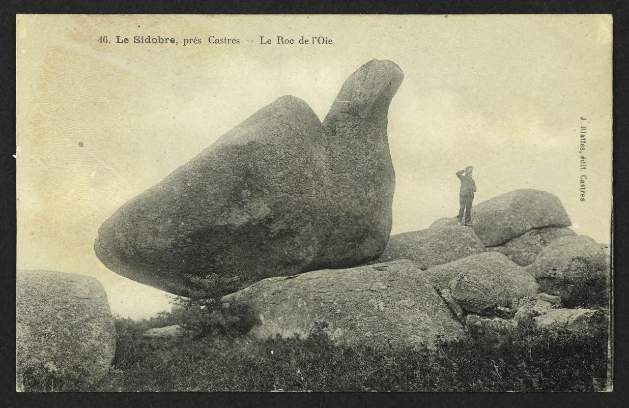 carte postale LE SIDOBRE, PRES CASTRES, LE ROC DE L'OIE 4P2236 Photo
