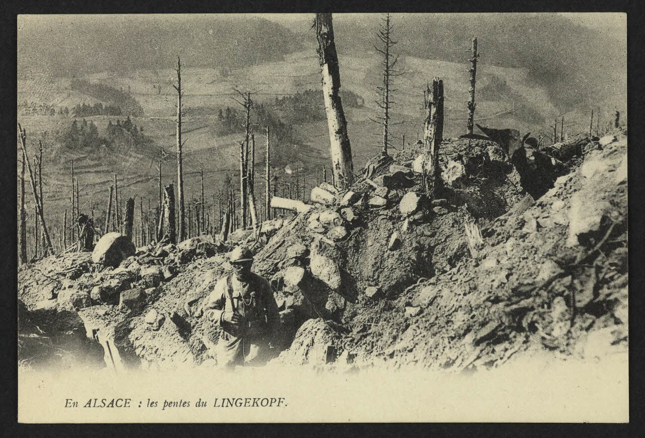 carte postale EN ALSACE : LES PENTES DU LINGEKOPF 4P2249 Photo