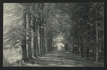 carte postale PARC DE TERVUEREN 4P2281 Photo