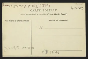 carte postale NANCY, LA PLACE DES DAMES EN 1865 4P2369 Photo