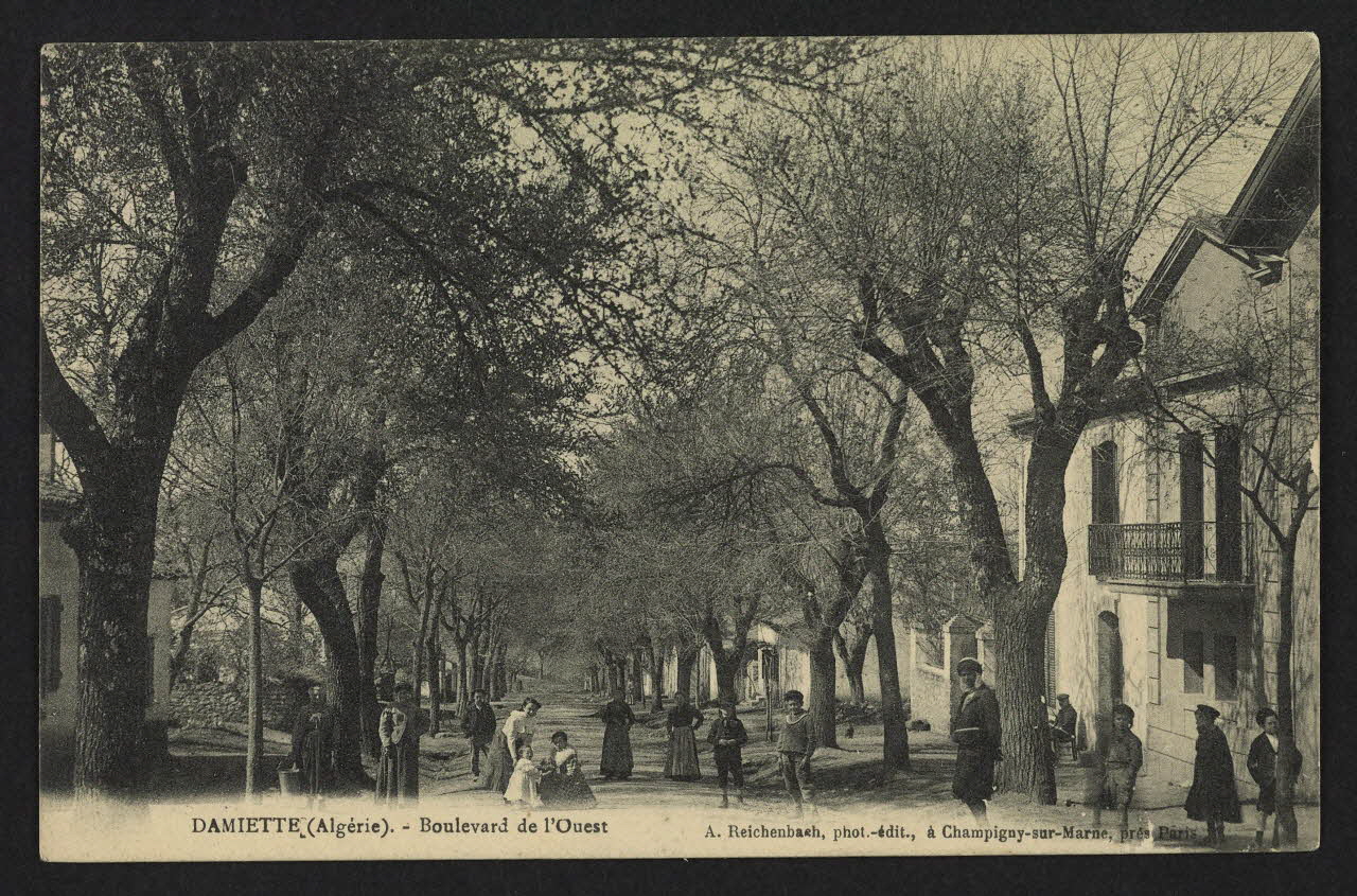 CHAMPIGNY-SUR-MARNE A.REICHENBACH carte postale DAMIETTE, BOULEVARD DE L'OUEST 1914 4P2409 Photo