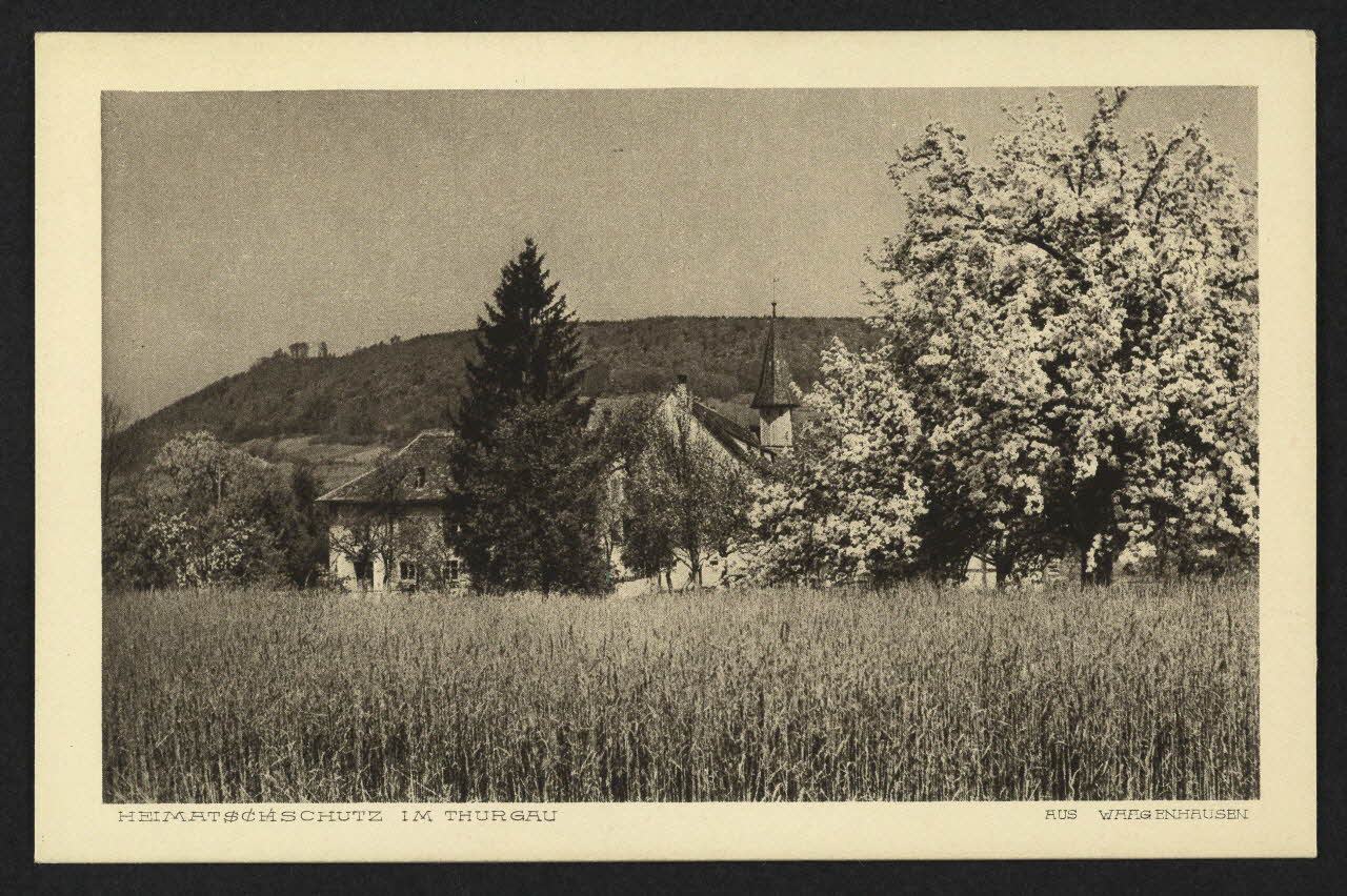 carte postale HEIMATSCHSCHUTZ IM THURGAU, AUS WAAGENHAUSEN 4P2479 Photo