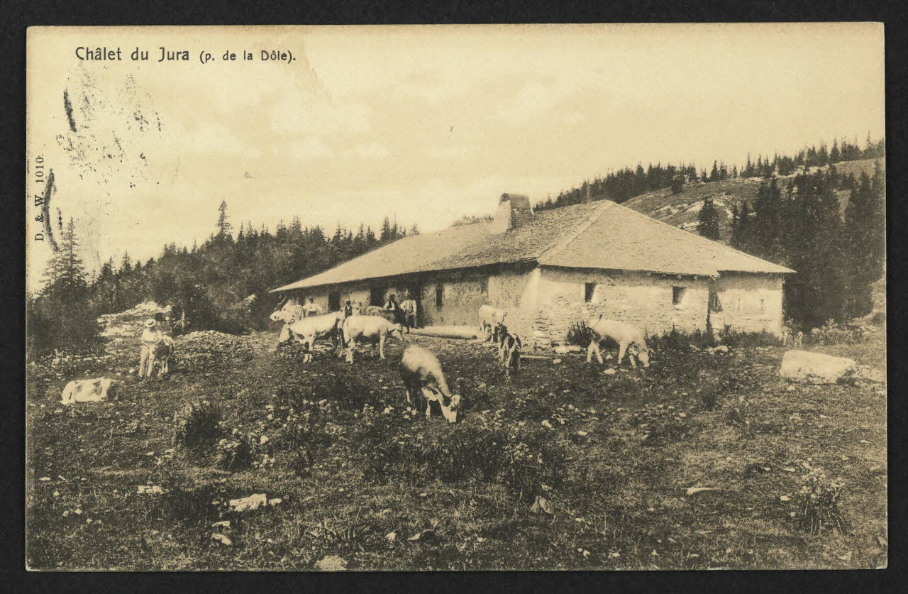 carte postale CHALET DU JURA (P. DE LA DOLE) 4P2482 Photo