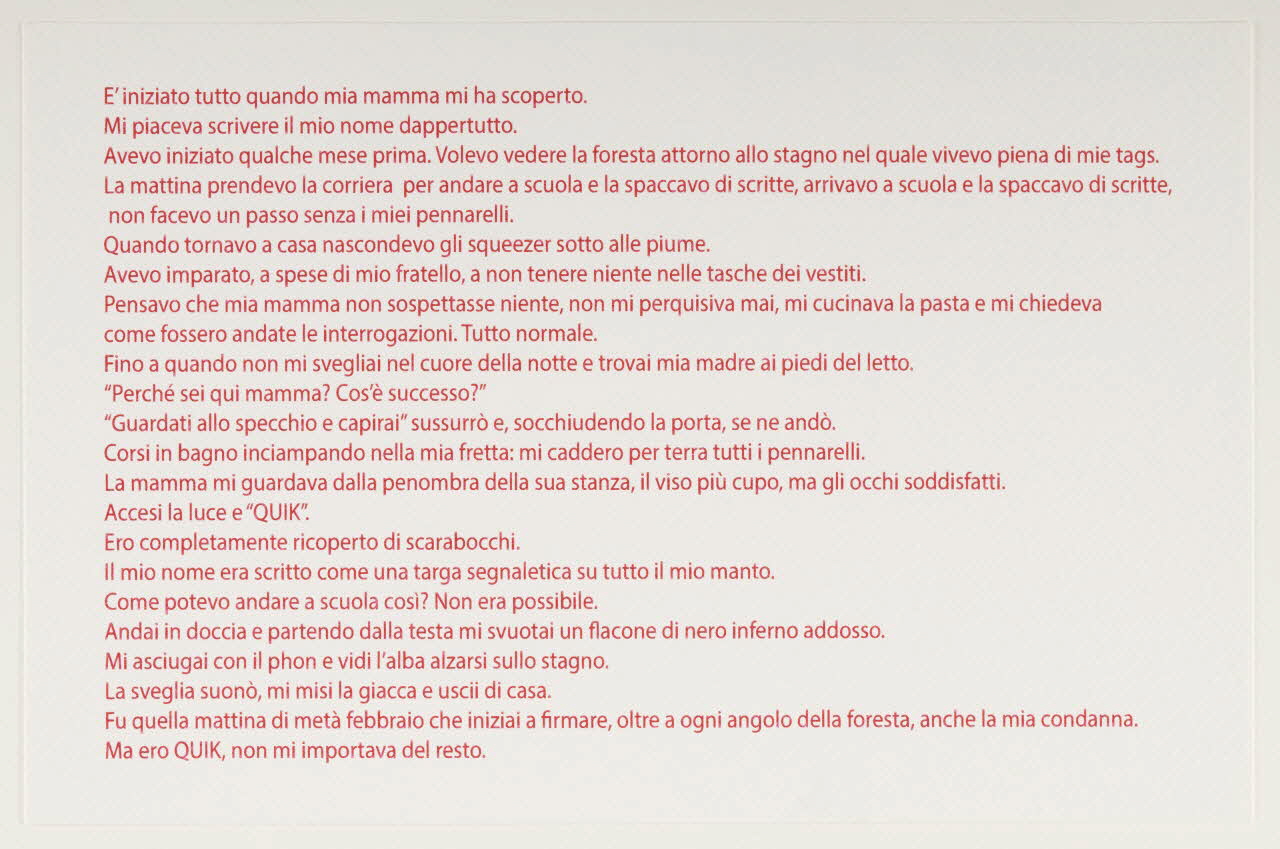 Zoow24 ; Bad Deal ; Marina Rubini carte publicitaire Texte accompagnant le pull-over "Nasty duck" Lombardie, Italie 2015 2020.22.51.3 Photo Mucem / Marianne Kuhn