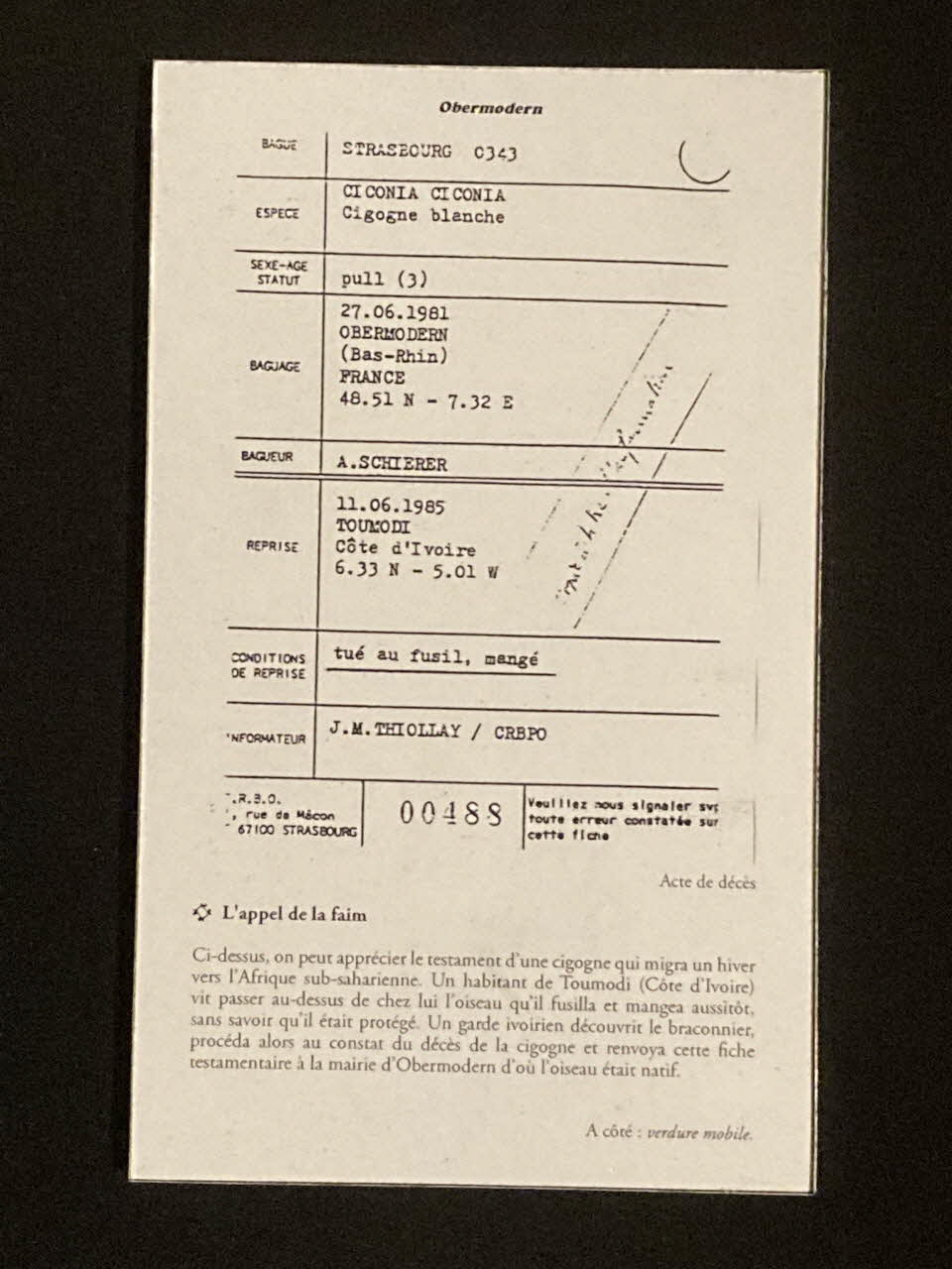 Pierre Fisher ; Justin Meekel élément de l'installation Verdure Tour : De la France mystérieuse Alsace, France 2009/7/8-2009/8/13 2020.44.1.101 Photo Mucem
