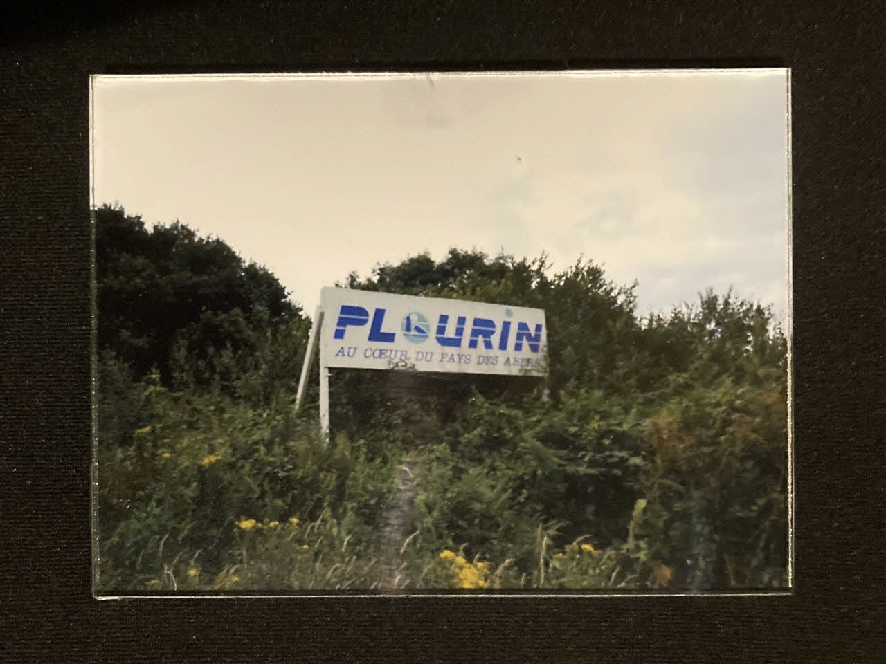 Pierre Fisher ; Justin Meekel élément de l'installation Verdure Tour : De la France mystérieuse Bretagne, France 2009/7/8-2009/8/13 2020.44.1.11 Photo Mucem