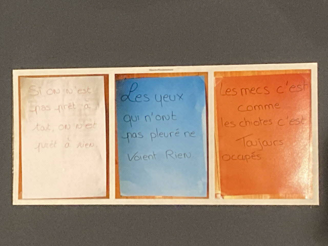 Pierre Fisher ; Justin Meekel élément de l'installation Verdure Tour : De la France mystérieuse Bretagne, France 2009/7/8-2009/8/13 2020.44.1.19 Photo Mucem