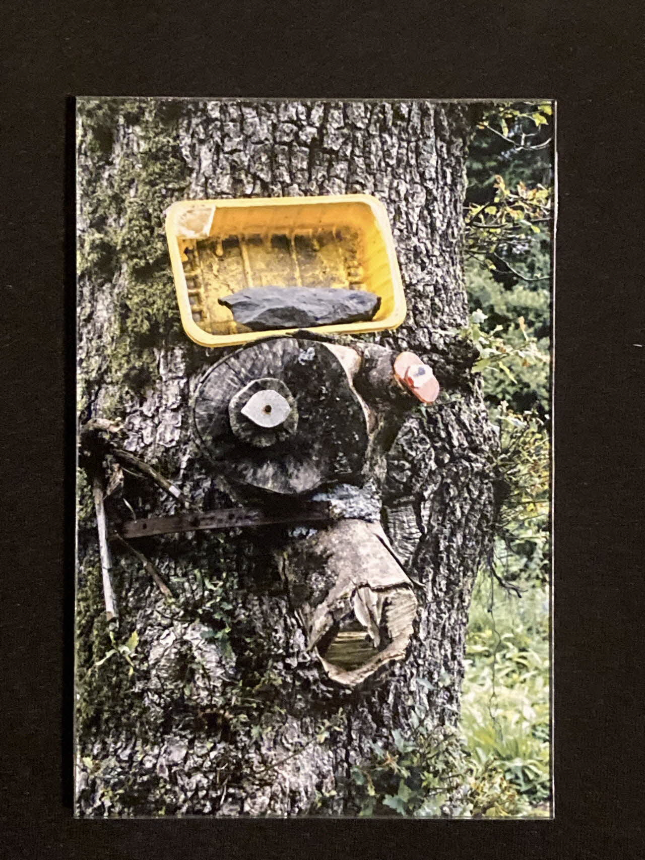 Pierre Fisher ; Justin Meekel élément de l'installation Verdure Tour : De la France mystérieuse Bretagne, France 2009/7/8-2009/8/13 2020.44.1.21 Photo Mucem