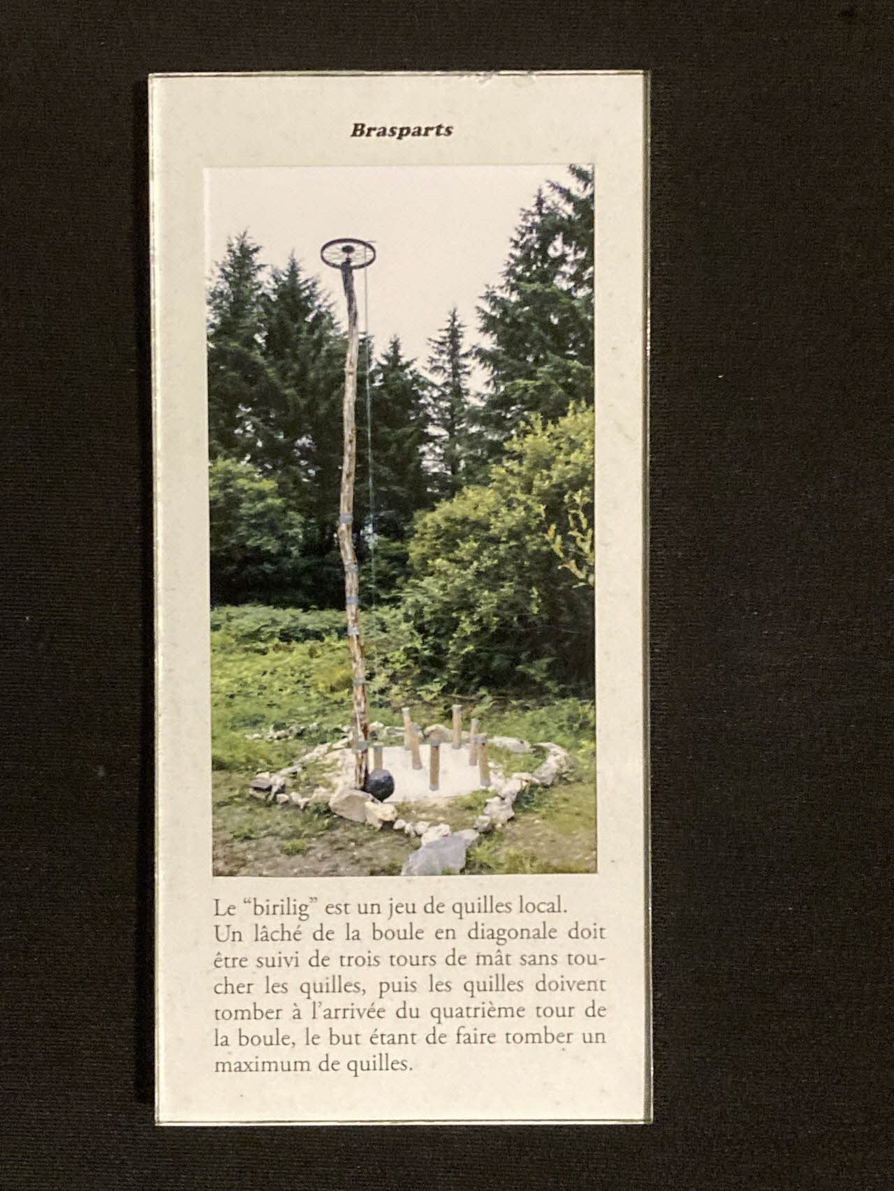 Pierre Fisher ; Justin Meekel élément de l'installation Verdure Tour : De la France mystérieuse Bretagne, France 2009/7/8-2009/8/13 2020.44.1.24 Photo Mucem