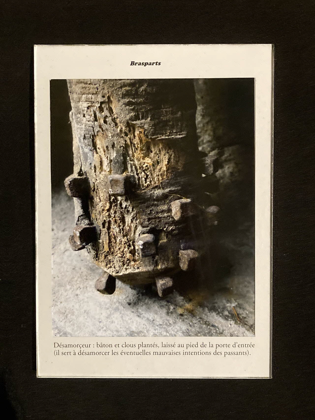 Pierre Fisher ; Justin Meekel élément de l'installation Verdure Tour : De la France mystérieuse Bretagne, France 2009/7/8-2009/8/13 2020.44.1.25 Photo Mucem