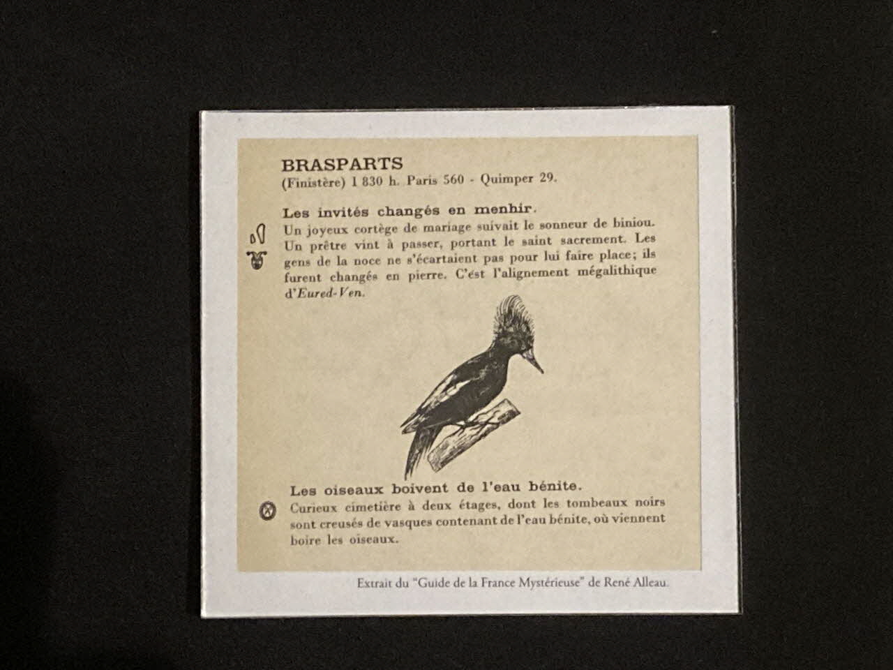 Pierre Fisher ; Justin Meekel élément de l'installation Verdure Tour : De la France mystérieuse 2009/7/8-2009/8/13 2020.44.1.26 Photo Mucem