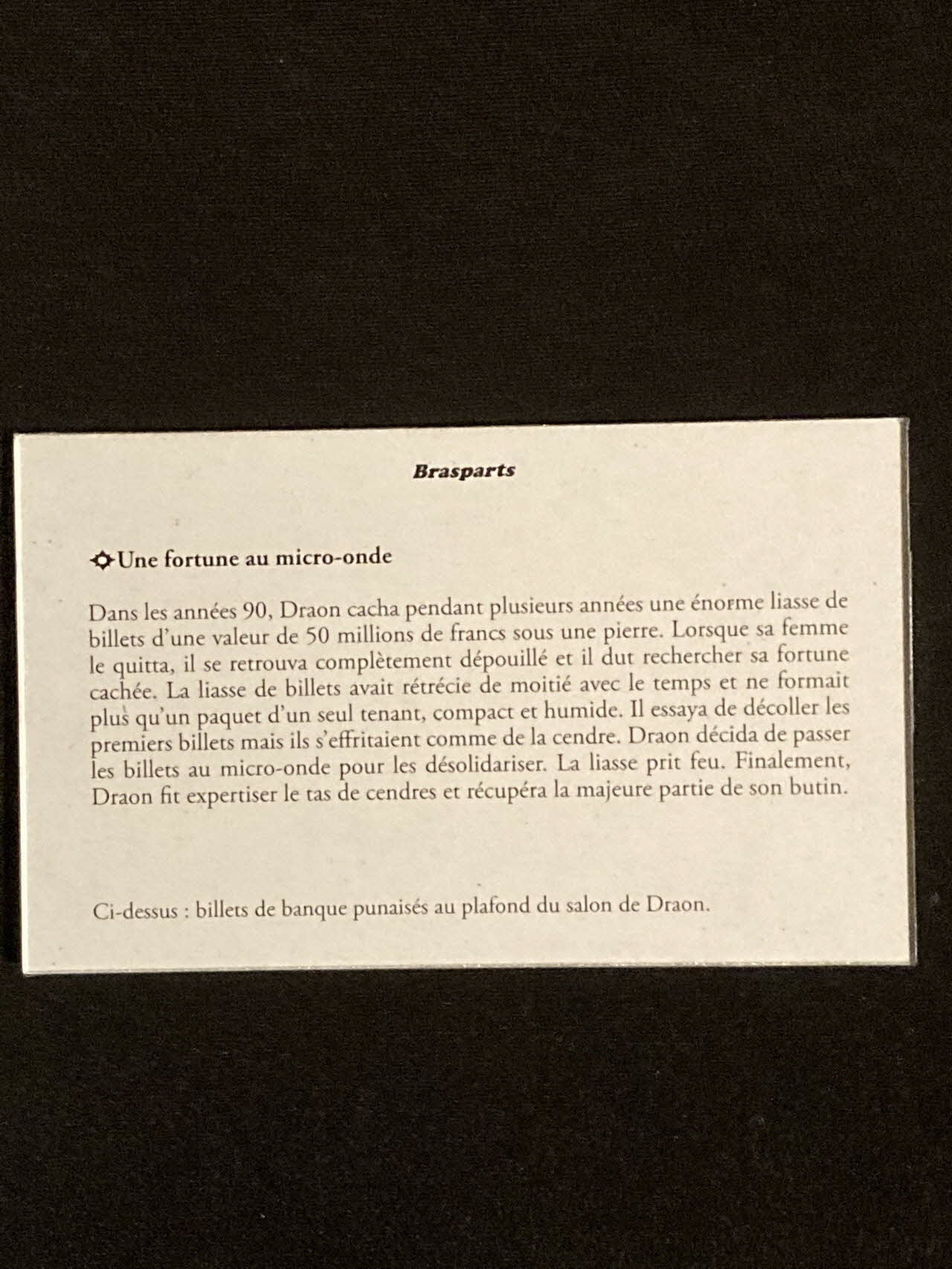 Pierre Fisher ; Justin Meekel élément de l'installation Verdure Tour : De la France mystérieuse Bretagne, France 2009/7/8-2009/8/13 2020.44.1.28 Photo Mucem
